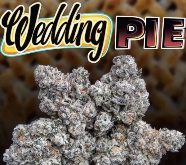 WEDDING PIE JUNGLEBOYS